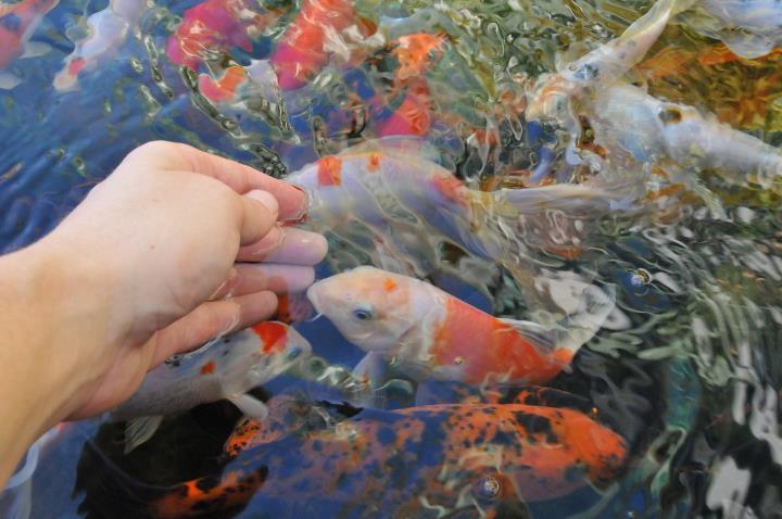 Pousada Marias Do Mar Bombinhas Ngoại thất bức ảnh